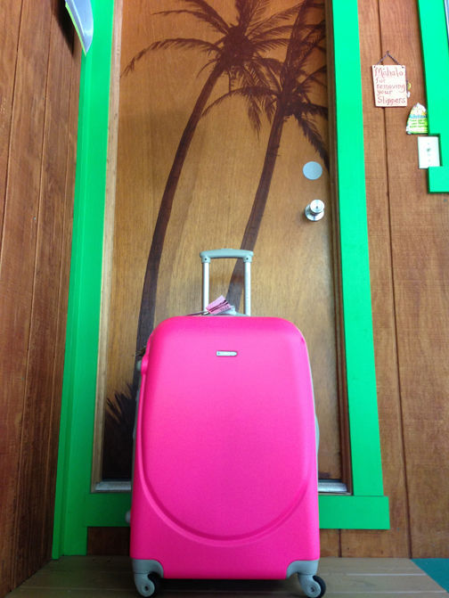 Hubcap Pink Suitcase