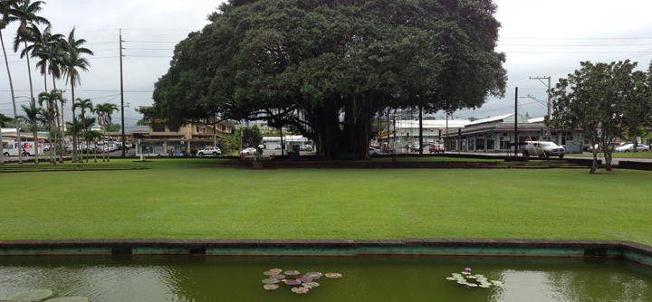 Kalakaua Park in Hilo HI